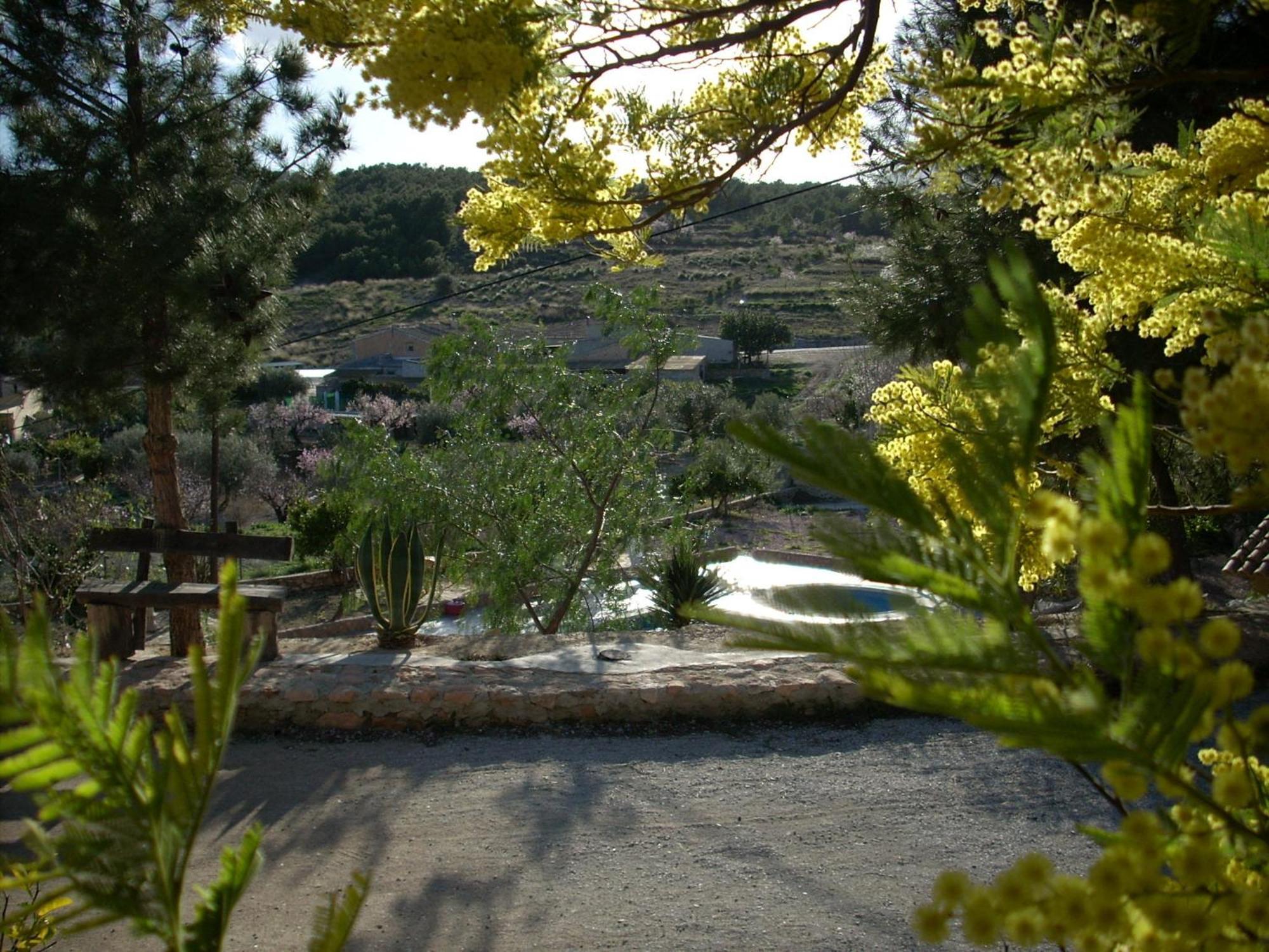 El Mirador De Gebas Pensionat Alhama de Murcia Eksteriør billede